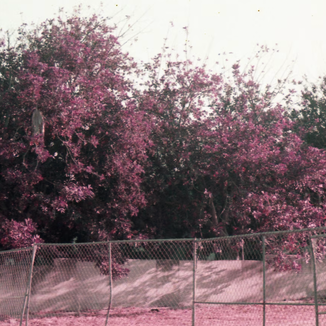 aerochrome photo 2