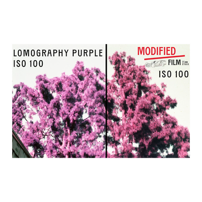 aerochrome lomography purple